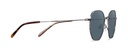 Okulary przeciwsłoneczne Arthur Gunmetal/Spiced Havana