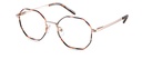 Okulary korekcyjne Brighton Gold Havana/Dark Havana