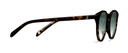 Okulary przeciwsłoneczne Ellis Wide Dark Havana
