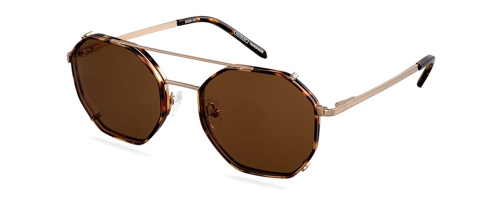 Clip on Sun Brighton Gold Havana/Brown