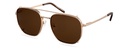 Clip on Sun Reese Gold/Brown