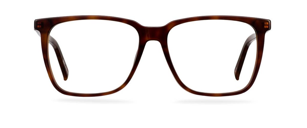 Okulary korekcyjne Eric Warm Tortoise