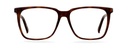 Okulary korekcyjne Eric Warm Tortoise