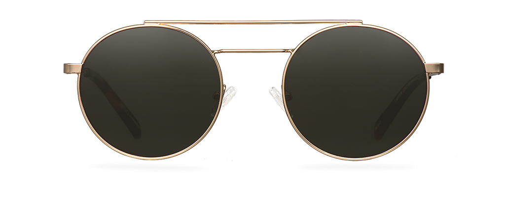 Okulary przeciwsłoneczne Carter Gold/Brown Havana