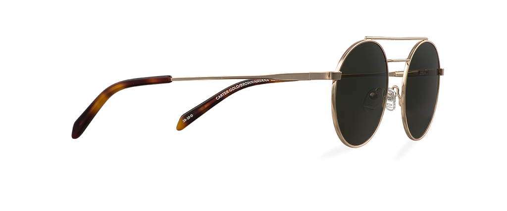 Okulary przeciwsłoneczne Carter Gold/Brown Havana