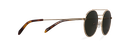 Okulary przeciwsłoneczne Carter Gold/Brown Havana