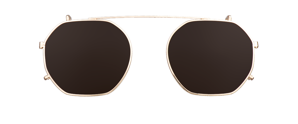 tp_Clip on Sun Taylor Gold/Brown