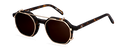 tp_Clip on Sun Taylor Gold/Brown