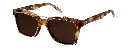 JOE CLIP ON GOLD BROWN 2.webp
