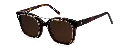 CLIP ON SUN MAGGIE GOLD BROWN 2.webp