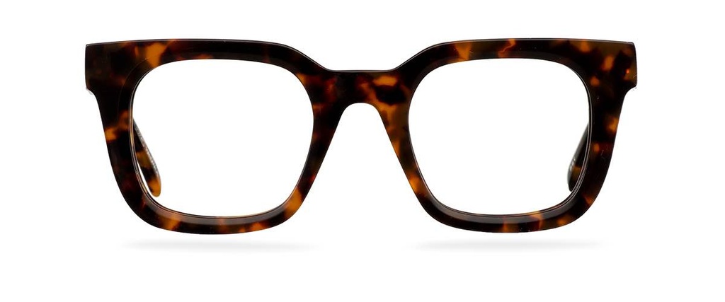 Počítačové brýle Modest Warm Havana