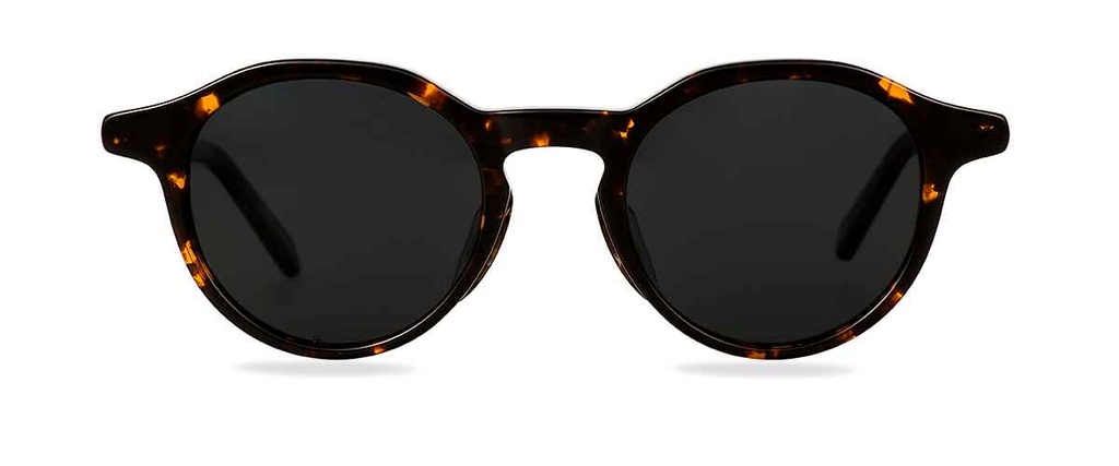 Sluneční brýle Simon Dark Havana