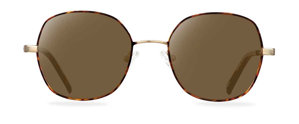 Sluneční brýle Hannah Gold Havana/Dark Havana