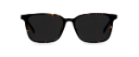 Sluneční brýle Louis Wide Dark Havana