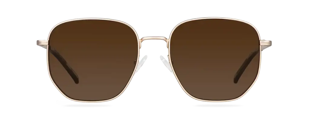 Sluneční brýle Reese Gold/Americano