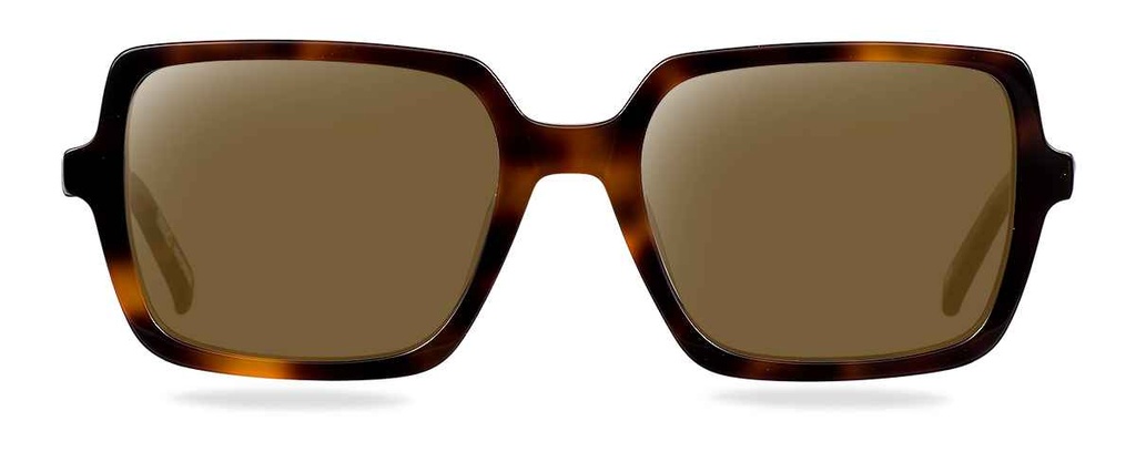 Sluneční brýle Hunter Brown Havana
