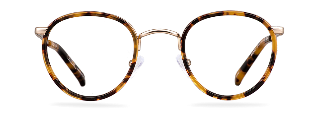 Čiré brýle Sydney Gold/Havana Sun