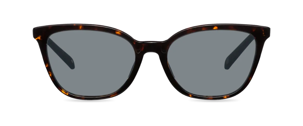 Sluneční brýle Renee Dark Havana