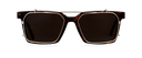 Clip on Sun Evan Gold/Brown
