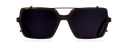 Clip on Sun Hunter Matt Black/Smoke