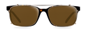Clip on Sun Stark - Gold/Brown